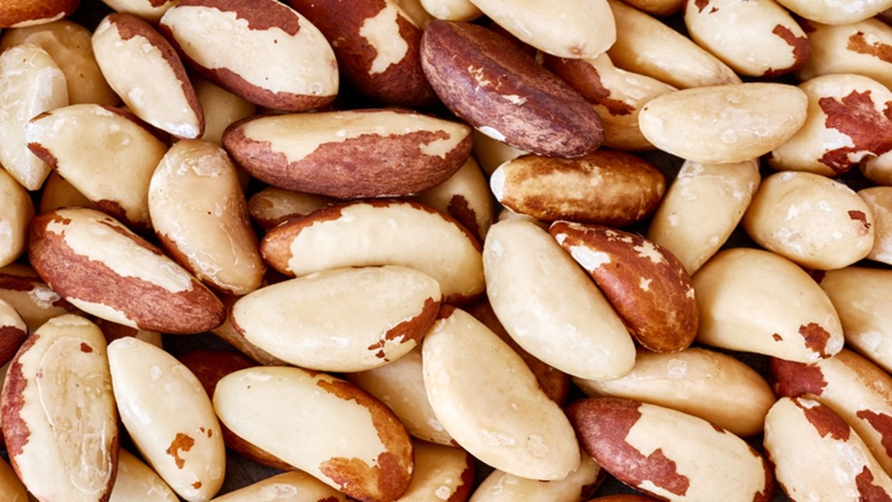 Abertura de mercado para exportação de castanha-do-Brasil para a Costa Rica