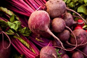 Imagem referente a notícia: Abertura de mercado para sementes de beterraba do Brasil para a Nicarágua