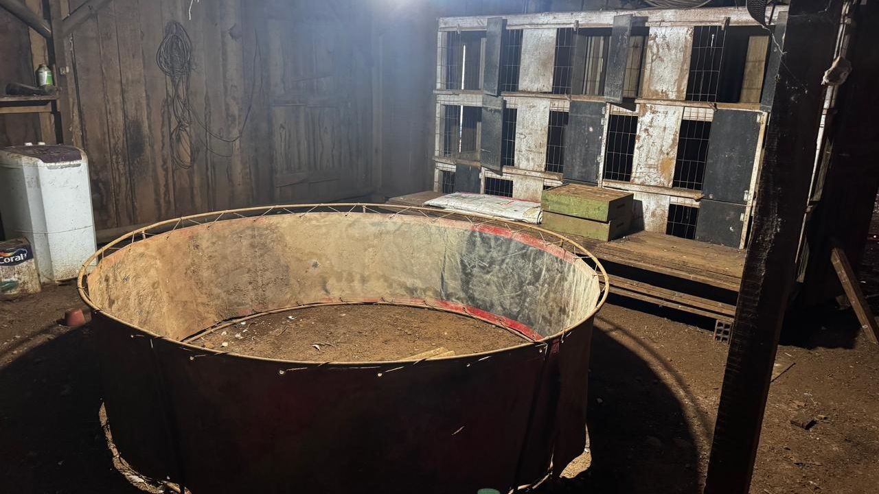 PF deflagra Operação Saleiro contra crimes ambientais e tráfico na fronteira do PR com SC