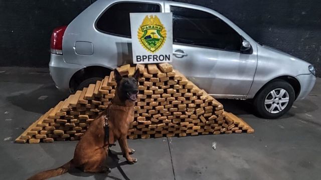Imagem referente a notícia: BPFRON prende homem de 23 anos com mais de 232 quilos de maconha em Nova Prata do Iguaçu
