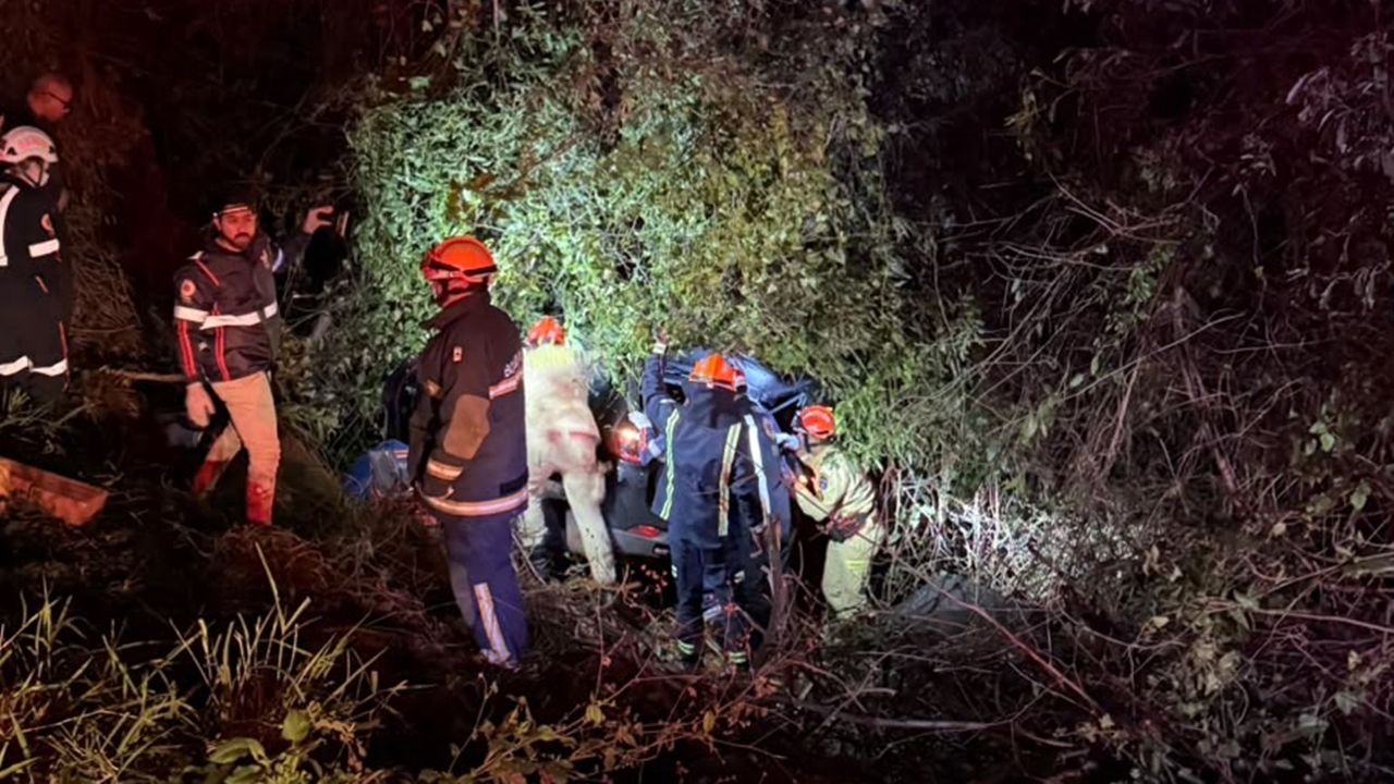 Médica fica ferida após Jeep Compass sair da pista e bater em árvores entre Chopinzinho e Coronel Vivida