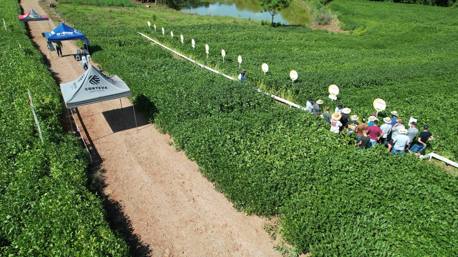 Copacol realiza Dias de Campo para cooperados do Sudoeste