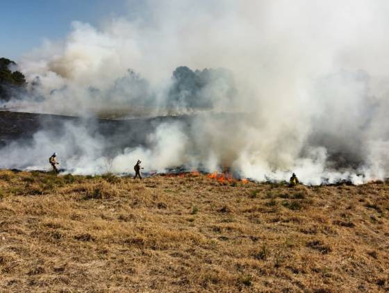 Atear fogo em lixo em terrenos baldios responde por mais de 30% dos incêndios no Paraná