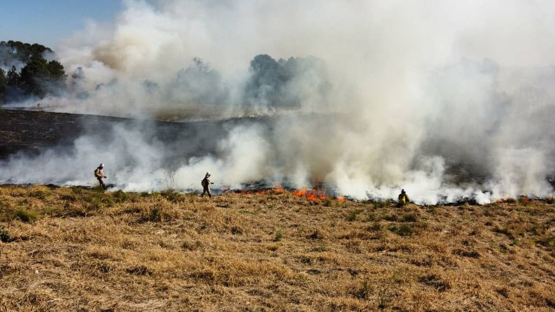 Atear fogo em lixo em terrenos baldios responde por mais de 30% dos incêndios no Paraná