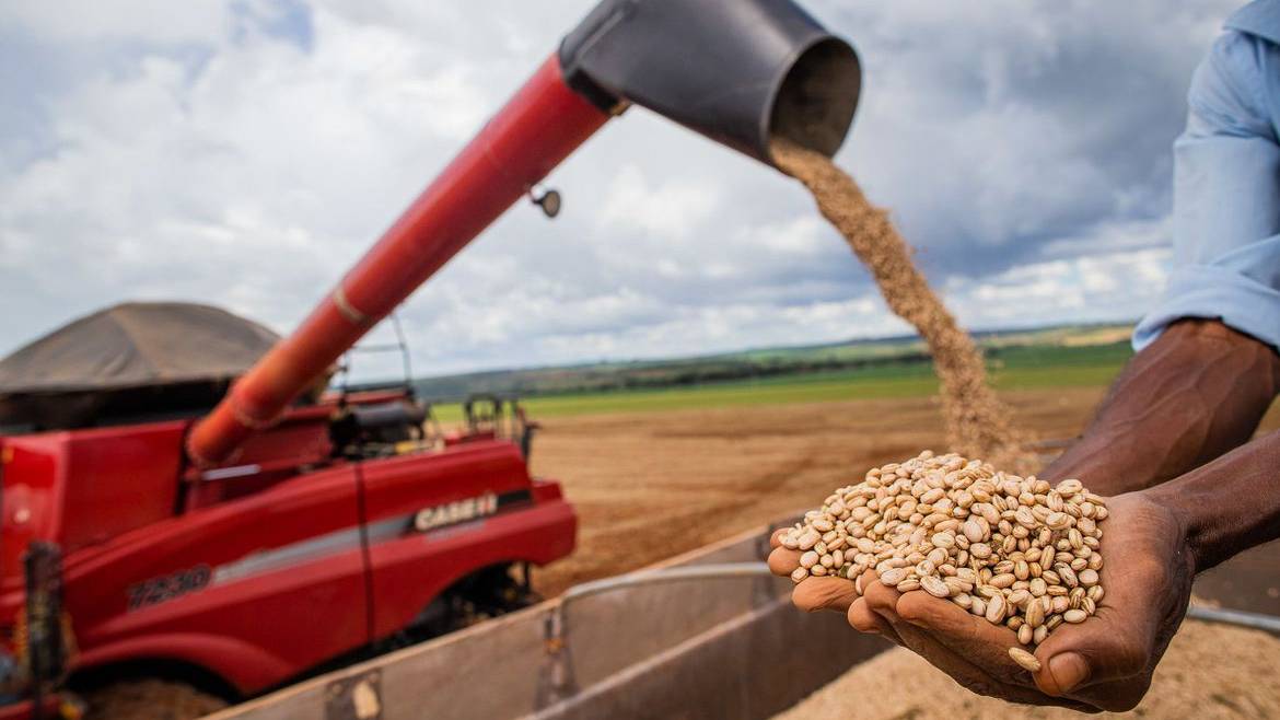 Aumento da temperatura vai afetar a produção de feijão no Brasil