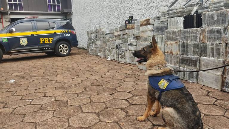 Maior apreensão de cocaína da história da Polícia Rodoviária Federal