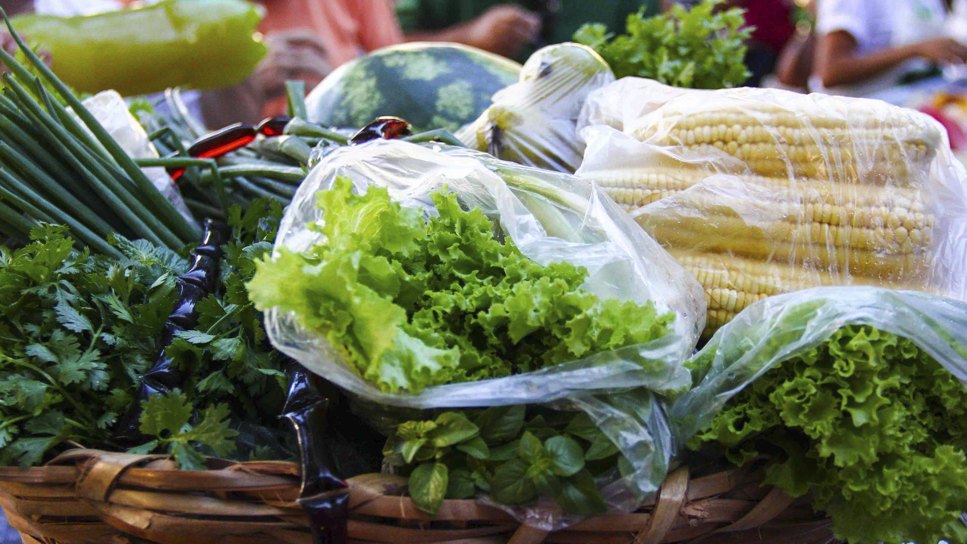 Paraná aumenta aquisição de alimentos orgânicos para merenda e ensina prática nas escolas