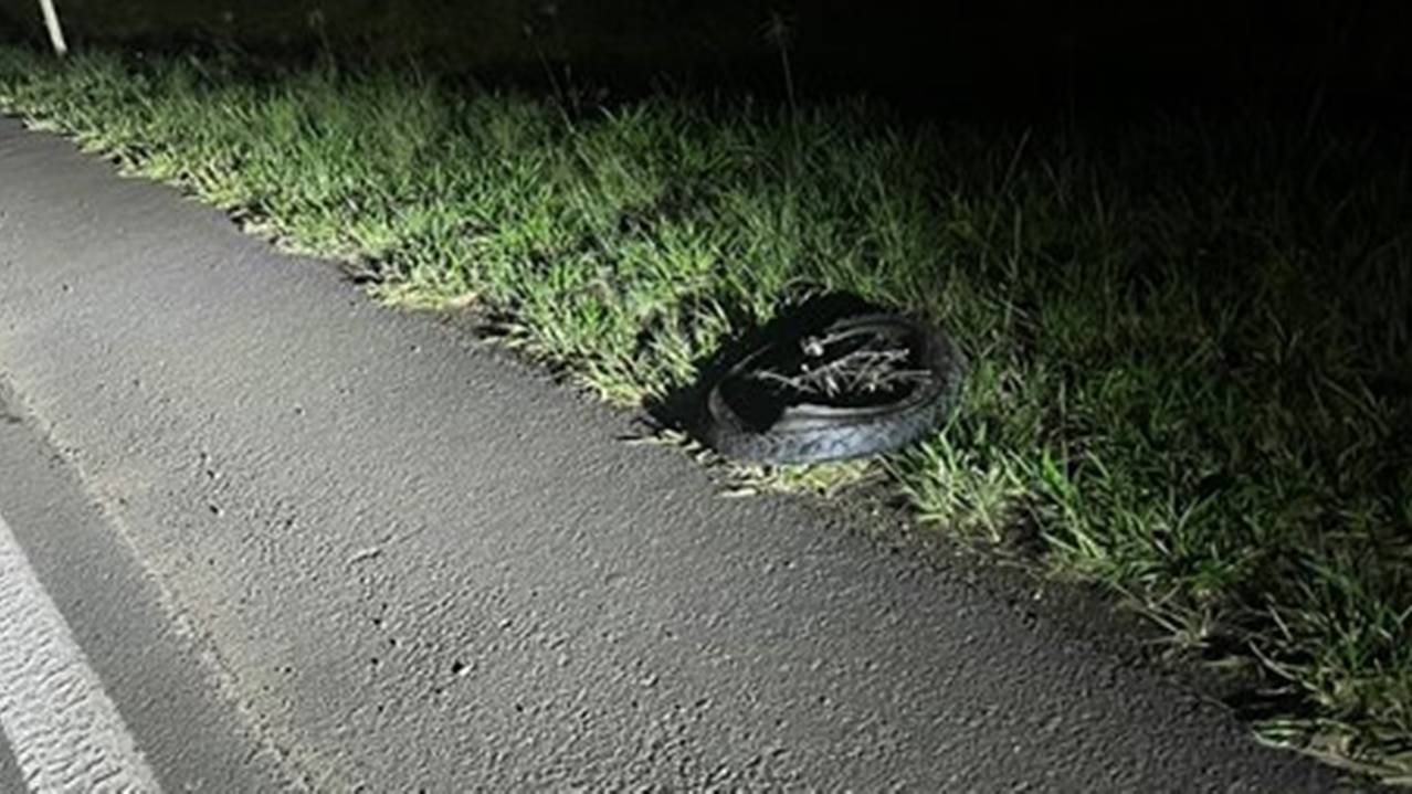 Homem de 26 anos morre em colisão entre moto e caminhão na BR-280 em Flor da Serra do Sul