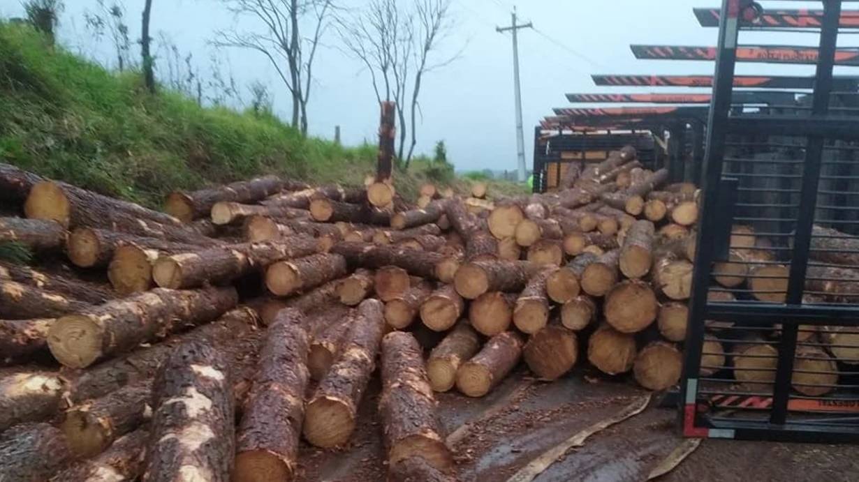 Caminhão tomba na PR-180 em Marmeleiro e deixa motorista ferido