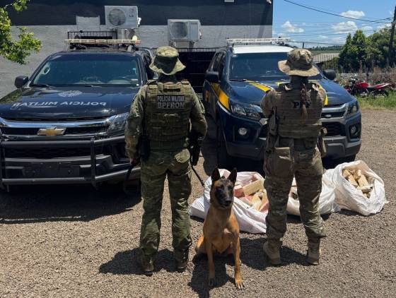 BPFRON e PRF desarticulam ponto de tráfico de drogas em Ampére e apreendem 123 kg de maconha
