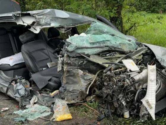 Mulher morre após carro bater em árvore na PR-182 em Francisco Beltrão