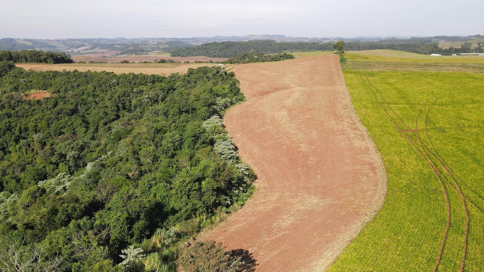 Ação contra desmatamento ilegal no Sudoeste resulta em R$ 2,8 milhões em multas