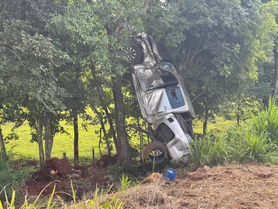 Caminhonete desgovernada bate em árvore e para em posição vertical na PR-566